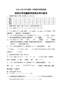 山东省淄博市临淄区2024-2025学年九年级（五四学制）上学期期中考试化学试卷