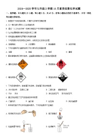 广东省2024--2025学年九年级上学期10月素养竞赛化学试题