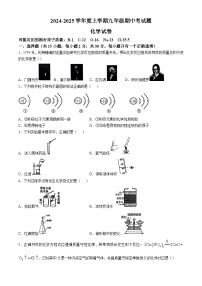 黑龙江省哈尔滨市巴彦县巴彦县华山乡中学2024-2025学年九年级上学期11月期中考试化学试题