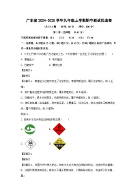 广东省2024-2025学年九年级上学期期中测试优选卷化学试卷（解析版）