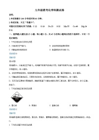 精品解析：2024年广东省雷州市中考联考一模化学试卷(解析版)