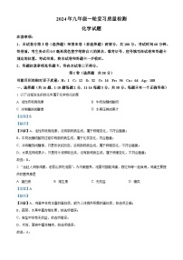 精品解析：2024年山东省临沂市莒南县中考一模化学试卷(解析版)