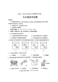 2024-2025学年山东省泰安市肥城市九年级上学期化学期中试题(OCR)