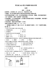 河北省廊坊市2024-2025学年九年级上学期11月期中考试化学试题