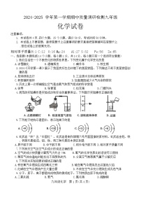 河南省洛阳市伊川县2024-2025学年九年级上学期11月期中考试化学试题