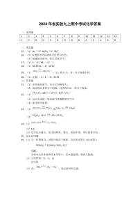 河南省郑州市河南省实验中学2024-2025学年九年级上学期11月期中考试化学试题