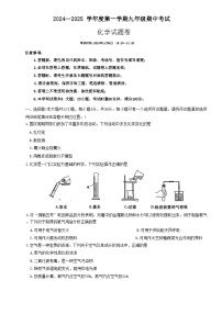 湖南省长沙市一中集团联考2024-2025学年九年级上学期期中考试化学试题