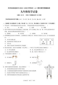 安徽省亳州市利辛县直属初中2024-2025学年九年级上学期11月期中考试化学试题