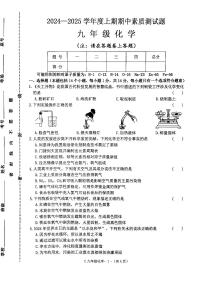 河南省驻马店市确山县2024-2025学年九年级上学期11月期中化学试题
