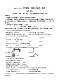 辽宁省沈阳市法库县2024-2025学年九年级上学期11月期中考试化学试题