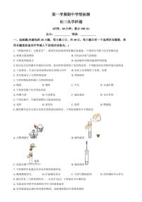 山东省泰安市新泰市2024-2025学年八年级上学期期中化学试题