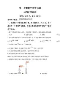 山东省泰安市新泰市2024-2025学年九年级上学期期中化学试题