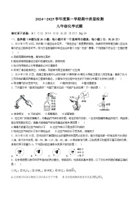 山东省菏泽市单县2024-2025学年九年级上学期11月期中考试化学试题(无答案)