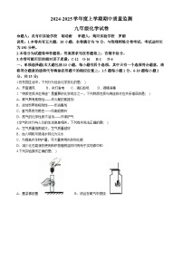 江西省宜春市高安市2024-2025学年九年级上学期11月期中化学试题