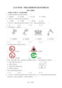 天津市津南区咸水沽第四中学2024-2025学年九年级上学期期中考试化学试卷