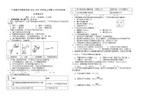 广西南宁市英华学校2024~2025学年九年级上学期11月月考化学试卷