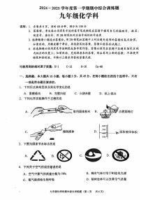 广东省揭阳市普宁市2024-2025学年九年级上学期期中化学试题