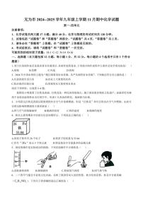 安徽省芜湖市无为市2024～～2025学年九年级上学期11月期中化学试题(含答案)