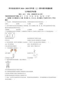 安徽省亳州市利辛县直属初中2024～2025学年九年级上学期11月期中考试化学试题(含答案)