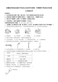 安徽省滁州市凤阳县实验中学2024～2025学年九年级上学期11月期中考试化学试题(含答案)