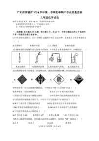 广东省清远市英德市2024～～2025学年九年级上学期期中学业质量监测化学试卷（含答案)