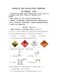 广东省深圳市深圳高级中学（集团）2024～～2025学年九年级上学期期中测试化学试题(含答案)