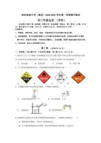 广东省深圳市深圳高级中学（集团）2024～～2025学年九年级上学期期中测试化学试题(含答案)