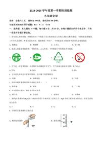 广东省云浮市罗定市2024～2025学年九年级上学期11月期中检测化学试题(含答案)