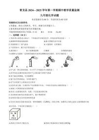 河北省秦皇岛市青龙满族自治县2024～2025学年九年级上学期11月期中考试化学试题(含答案)