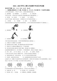 河南省郑州市枫杨、朗悦慧等九校2024～2025学年九年级上学期期中考试化学试题（含答案）