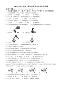 河南省郑州市枫杨、朗悦慧等九校2024～2025学年九年级上学期期中考试化学试题（含答案）