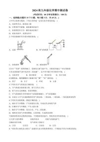 湖南省岳阳市湘阴县岭北五校联考2024～2025学年九年级上学期11月期中化学试题(含答案)