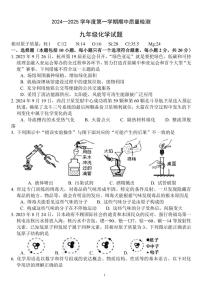 山东省菏泽市单县2024～2025学年九年级上学期期中化学试题(含答案)