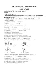 山东省菏泽市鄄城县2024～～2025学年九年级上学期期中考试化学试题(含答案)