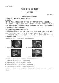 山东省济南市市中区2024—2025学年九年级上学期期中考试化学试卷(含答案)