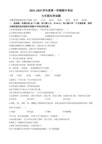 山东省枣庄市2024～2025学年九年级上学期期中考试化学试题(含答案)