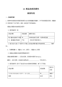 中考化学常考点专题必杀题(深圳专用)实验专练14(药品的变质探究20题)(原卷版+解析)