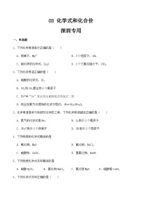 中考化学常考点专题必杀题(深圳专用)选择专练03(化学式和化合价30题)(原卷版+解析)