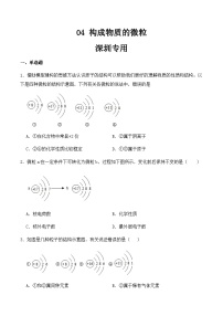 中考化学常考点专题必杀题(深圳专用)选择专练04(构成物质的微粒30题)(原卷版+解析)