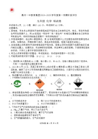 广东省惠州市一中教育集团2024-2025学年九年级上学期期中考试化学试题