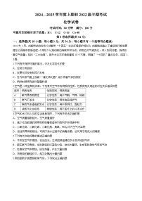 四川省成都市第七中学（高新校区）2024-2025学年九年级上学期期中考试化学试卷(无答案)