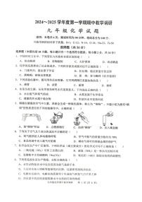 江苏省徐州市邳州市2024-2025学年九年级上学期11月期中化学试题