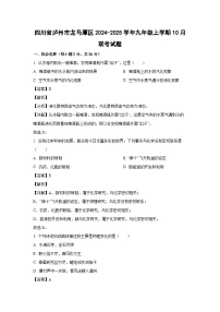 四川省泸州市龙马潭区2024-2025学年九年级上学期10月联考化学试卷（解析版）