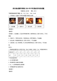 四川省成都市某校2024年中考适应性考试化学试卷（解析版）