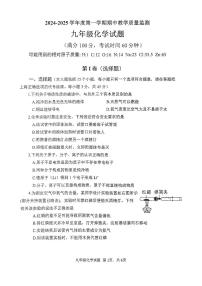 山东省枣庄市市中区2024--2025学年九年级上学期期中考试化学试题