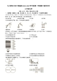 内蒙古自治区乌兰察布市初中联盟校2024-2025学年九年级上学期期中素养评价化学试题