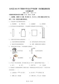 湖南省郴州市永兴县2024--2025学年九年级上学期期中质量检测化学试卷
