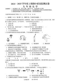 河南省罗山县2024-2025学年九年级上学期期中考试化学试卷