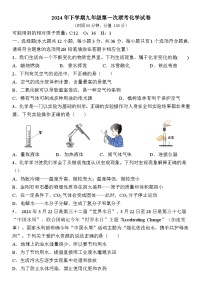 湖南省长沙市宁乡市西部乡镇2024-2025学年九年级上学期11月期中联考化学试题