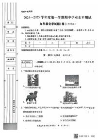 陕西省西安市高陵区2024-2025学年九年级上学期期中学业水平测试化学试卷